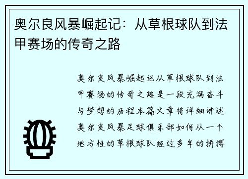 奥尔良风暴崛起记：从草根球队到法甲赛场的传奇之路